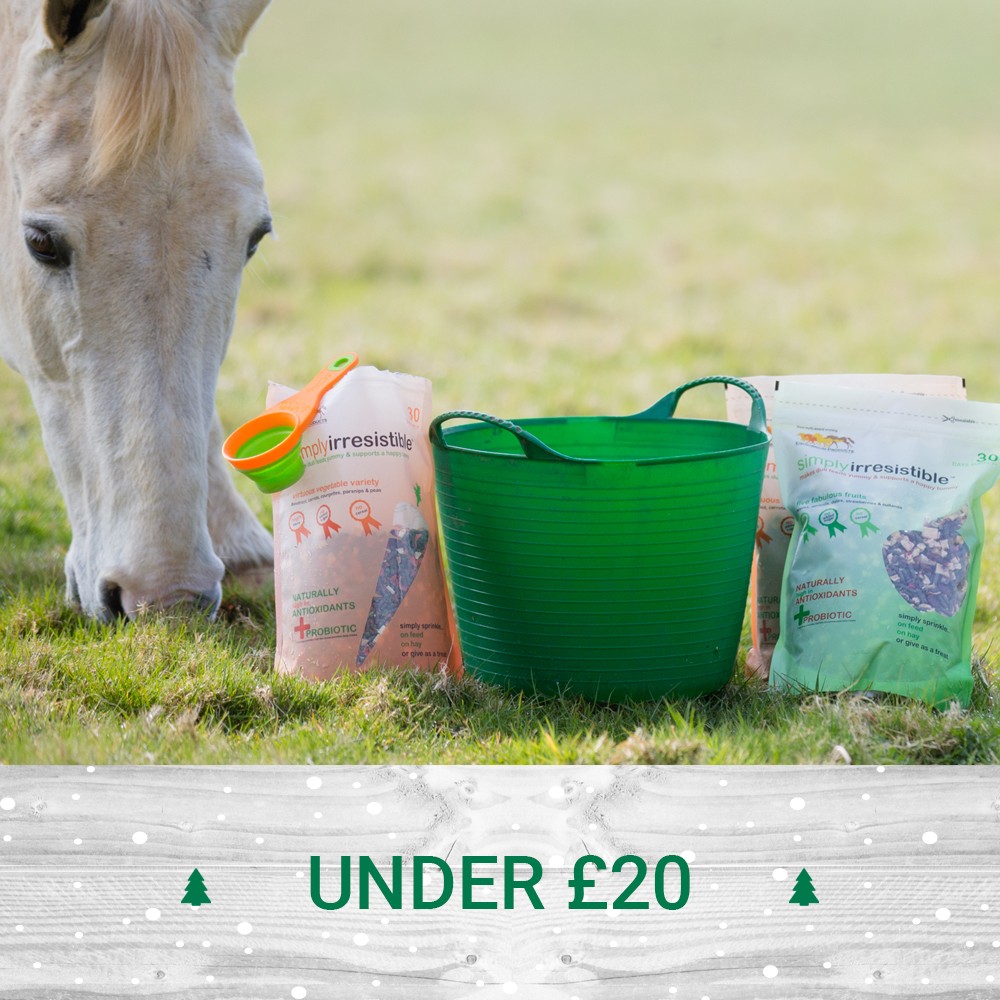 Gifts under £20